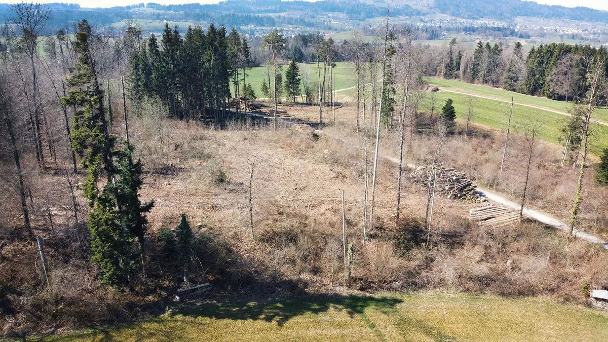 Luftaufnahme der Deponie Leerüti.